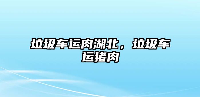 垃圾車運肉湖北，垃圾車運豬肉