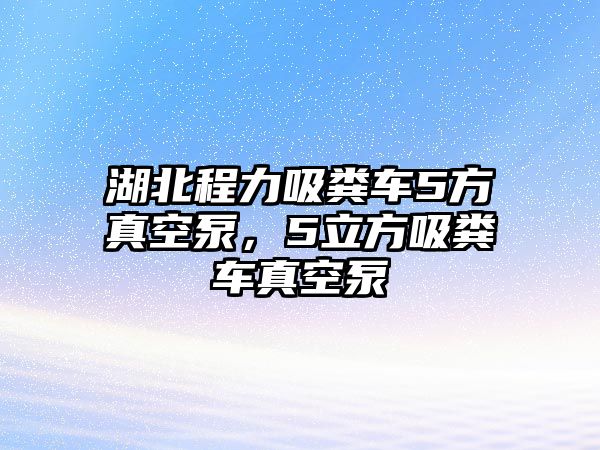 湖北程力吸糞車5方真空泵，5立方吸糞車真空泵