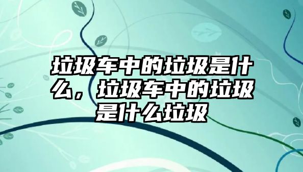 垃圾車中的垃圾是什么，垃圾車中的垃圾是什么垃圾